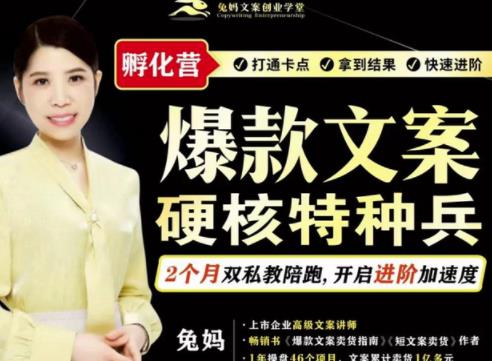 爆款文案硬核特种兵孵化营，实现了每个月2000-30000+的副业增收_金轩项目库