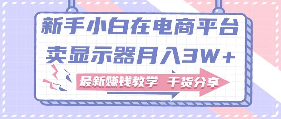 新手小白如何做到在电商平台卖显示器月入3W+，最新赚钱教学干货分享_金轩项目库