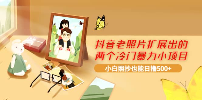 抖音老照片扩展出的两个冷门暴力小项目，小白照抄也能日撸500+_金轩项目库
