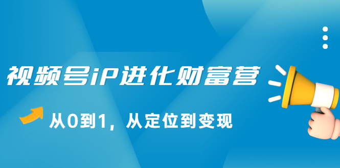 视频号iP进化财富营第1期，21天从0到1，从定位到变现_金轩项目库