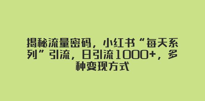 揭秘流量密码，小红书“每天系列”引流，日引流1000+，多种变现方式_金轩项目库
