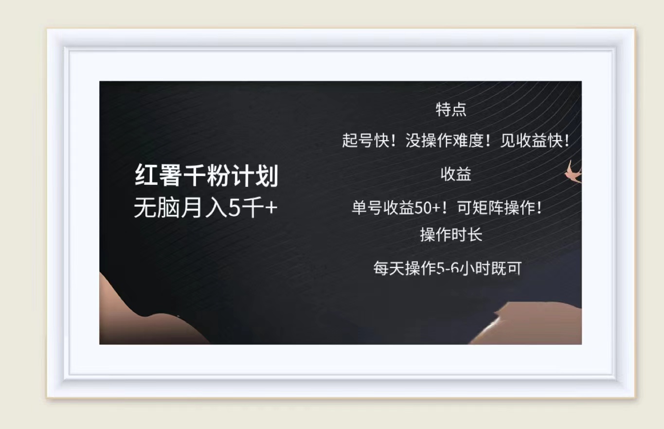 红薯千粉计划无脑月入5千➕！既做既赚！_金轩项目库