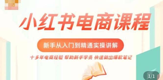小红书电商新手入门到精通实操课，从入门到精通做爆款笔记，开店运营_金轩项目库