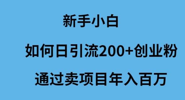 新手小白如何日引流200+创业粉通过卖项目年入百万_金轩项目库