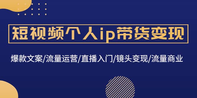 短视频个人ip带货变现：爆款文案/流量运营/直播入门/镜头变现/流量商业_金轩项目库