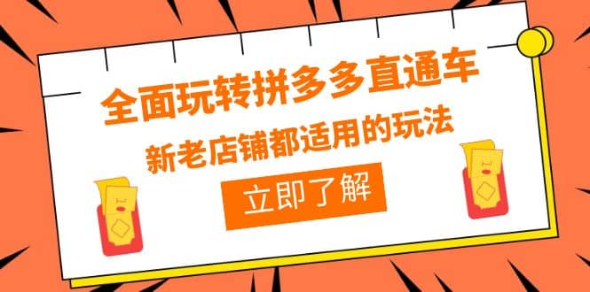 全面玩转拼多多直通车，新老店铺都适用的玩法（12节精华课）_金轩项目库