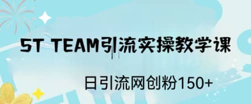 ST TEAM引流实操课，日引流网创粉100+_金轩项目库