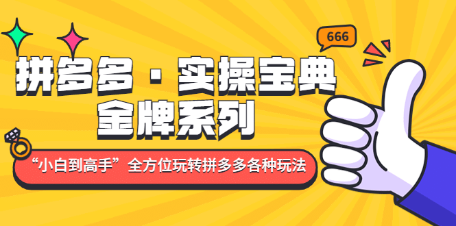 拼多多·实操宝典：金牌系列“小白到高手”带你全方位玩转拼多多各种玩法_金轩项目库