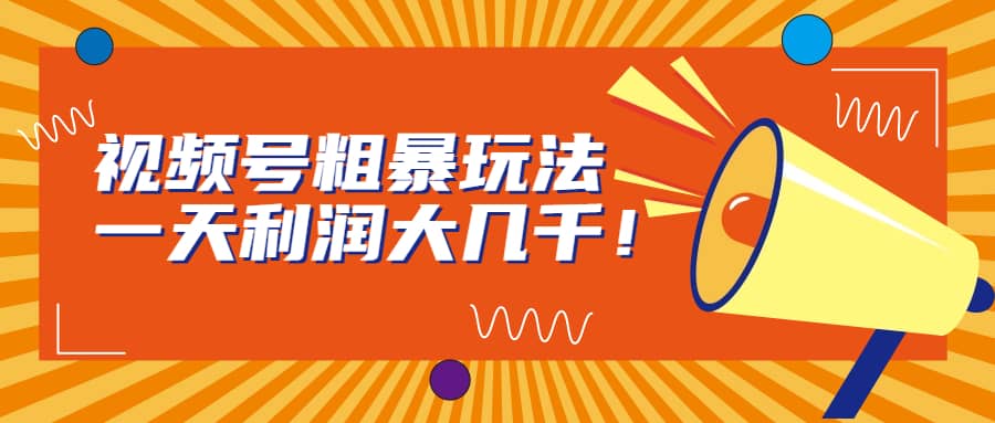 视频号粗暴玩法，一天利润大几千_金轩项目库