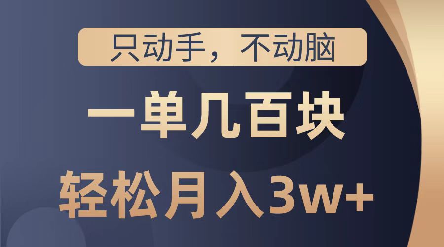 只动手不动脑，一单几百块，轻松月入2w+，看完就能直接操作，详细教程_金轩项目库