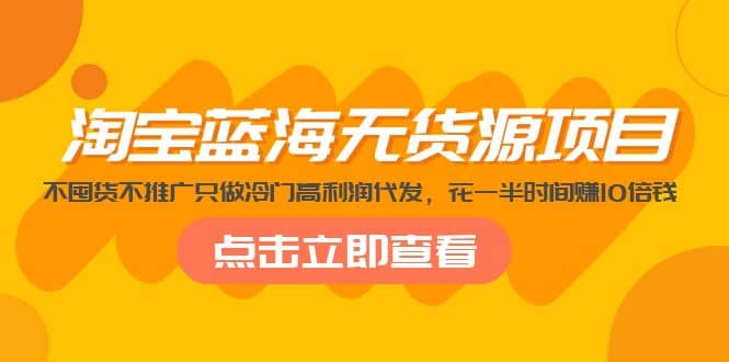 淘宝蓝海无货源项目，不囤货不推广只做冷门高利润代发_金轩项目库