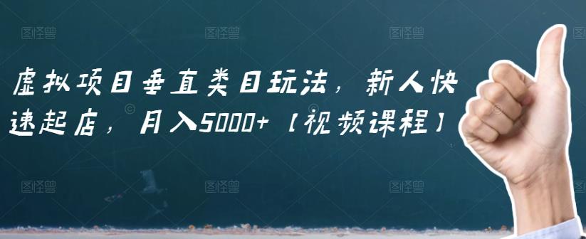 虚拟项目垂直类目玩法，新人快速起店，月入5000+【视频课程】_金轩项目库