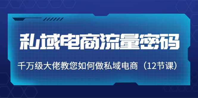 私域电商流量密码：千万级大佬教您如何做私域电商（12节课）_金轩项目库