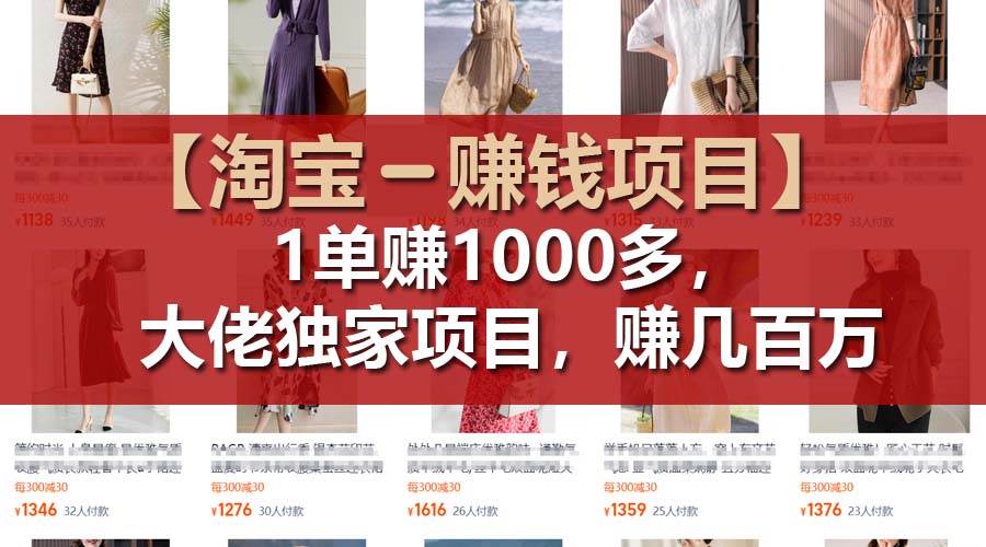 【淘宝赚钱项目】1单可赚1000多，大佬独家项目，年赚几百万_金轩项目库