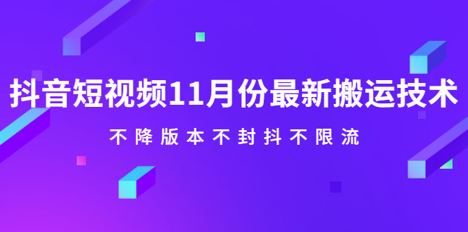 抖音短视频11月份最新搬运技术，不降版本不封抖不限流！【视频课程】_金轩项目库