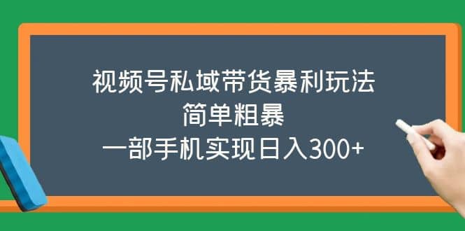 视频号私域带货暴利玩法，简单粗暴_金轩项目库
