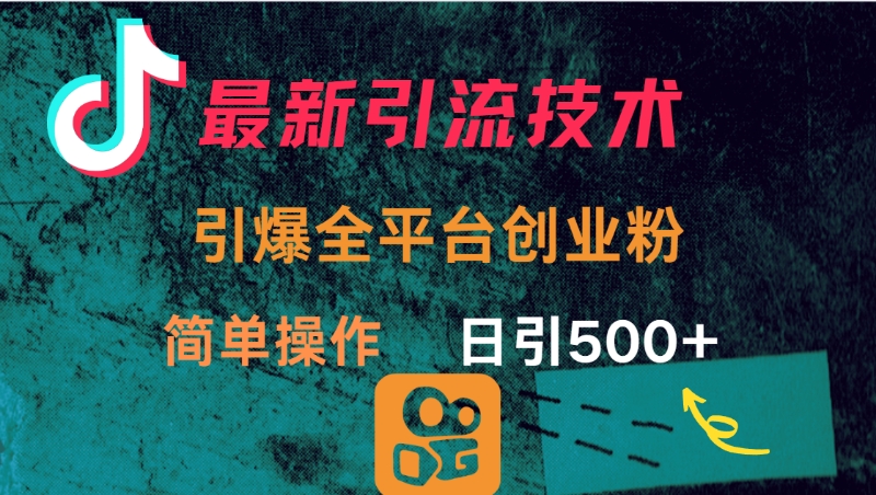 最新引流方法，引爆全平台创业粉操作简单，日引300＋_金轩项目库
