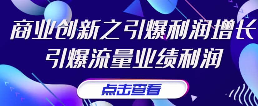 《商业创新之引爆利润增长》引爆流量业绩利润_金轩项目库