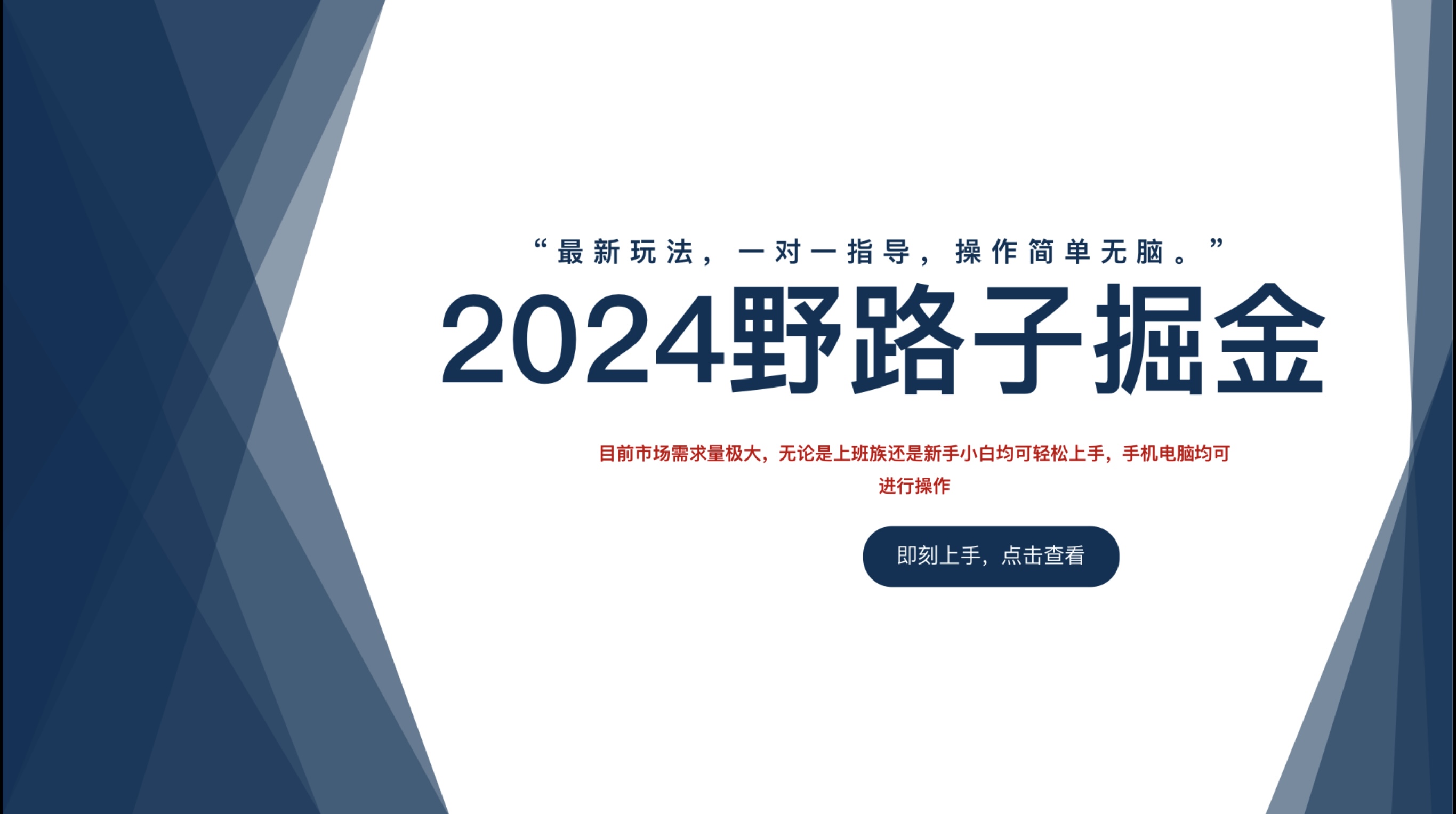 2024野路子掘金，最新玩 法， 一对一指导，操作简单无脑。_金轩项目库