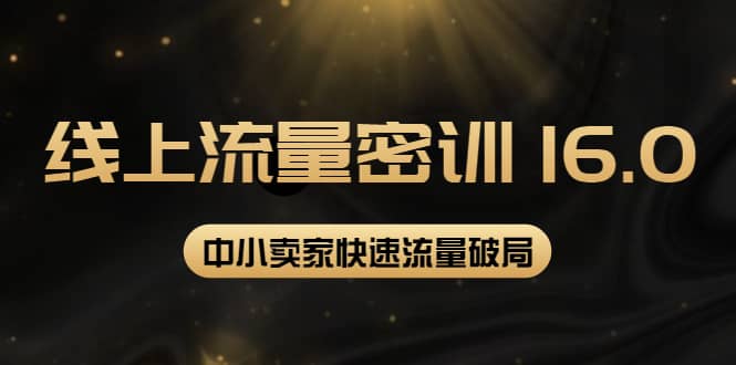 2022秋秋线上流量密训16.0：包含 暴力引流10W+中小卖家流量破局技巧 等等！_金轩项目库