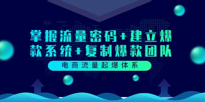 电商流量起爆体系：掌握流量密码+建立爆款系统+复制爆款团队（价值599）_金轩项目库