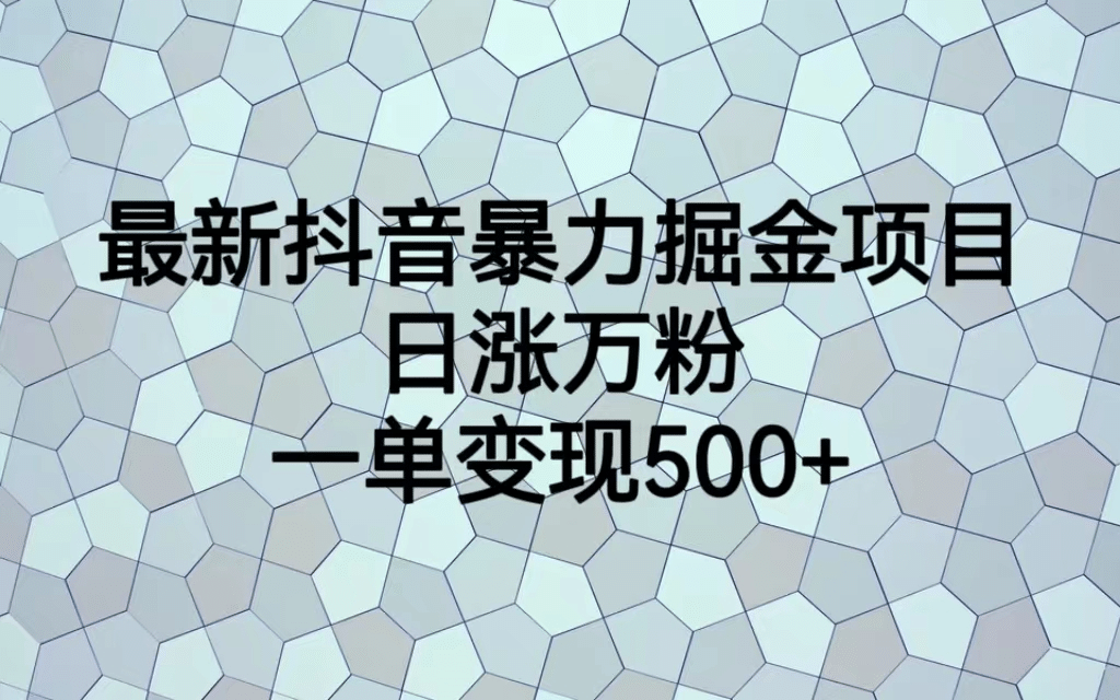 最火热的抖音暴力掘金项目，日涨万粉，多种变现方式，一单变现可达500+_金轩项目库