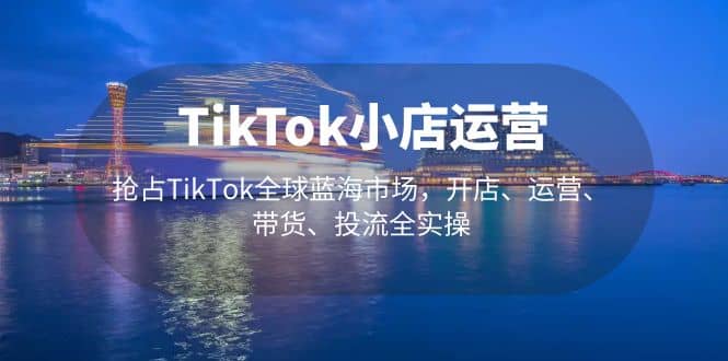 TikTok小店运营 抢占TikTok全球蓝海市场，开店、运营、带货、投流全实操_金轩项目库