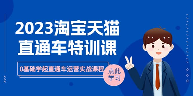 2023淘宝·天猫直通车评特训课，0基础学起直通车运营实战课程（8节课时）_金轩项目库