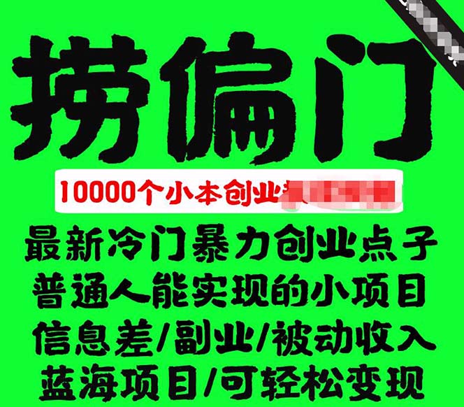 千款捞偏门小本创业小项目，总有一款适合你【无水印】_金轩项目库
