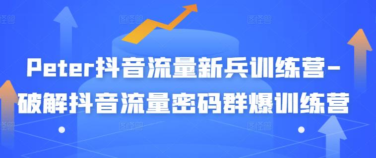 Peter抖音流量新兵训练营-破解抖音流量密码群爆训练营（新兵）_金轩项目库