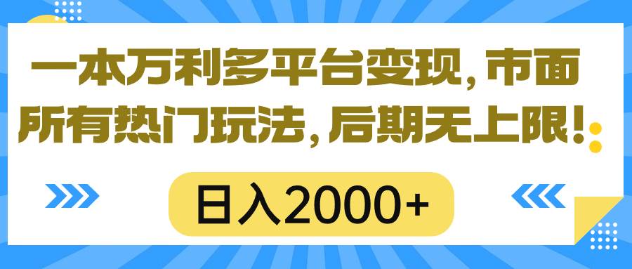 一本万利多平台变现，市面所有热门玩法，日入2000+，后期无上限！_金轩项目库