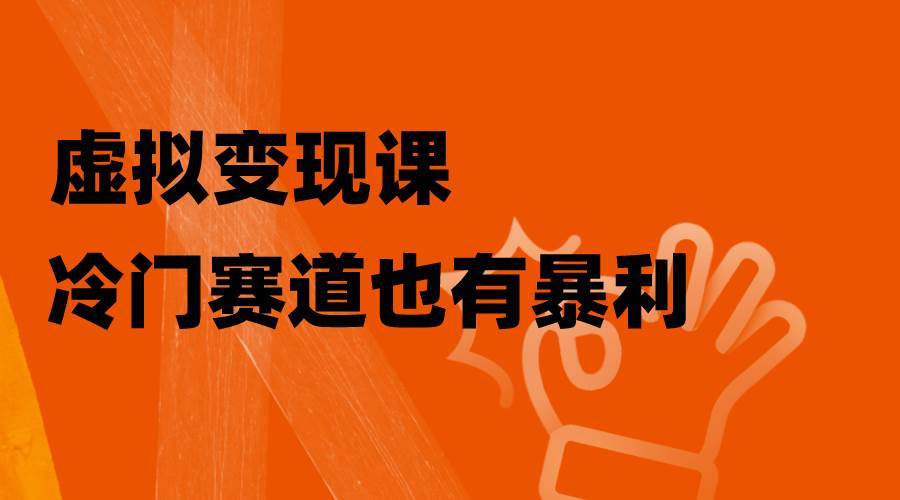 虚拟变现课，冷门赛道也有暴利，手把手教你玩转冷门私域_金轩项目库