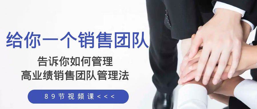 给你一个销售团队，告诉你如何管理，高业绩销售团队管理法（89节课）_金轩项目库