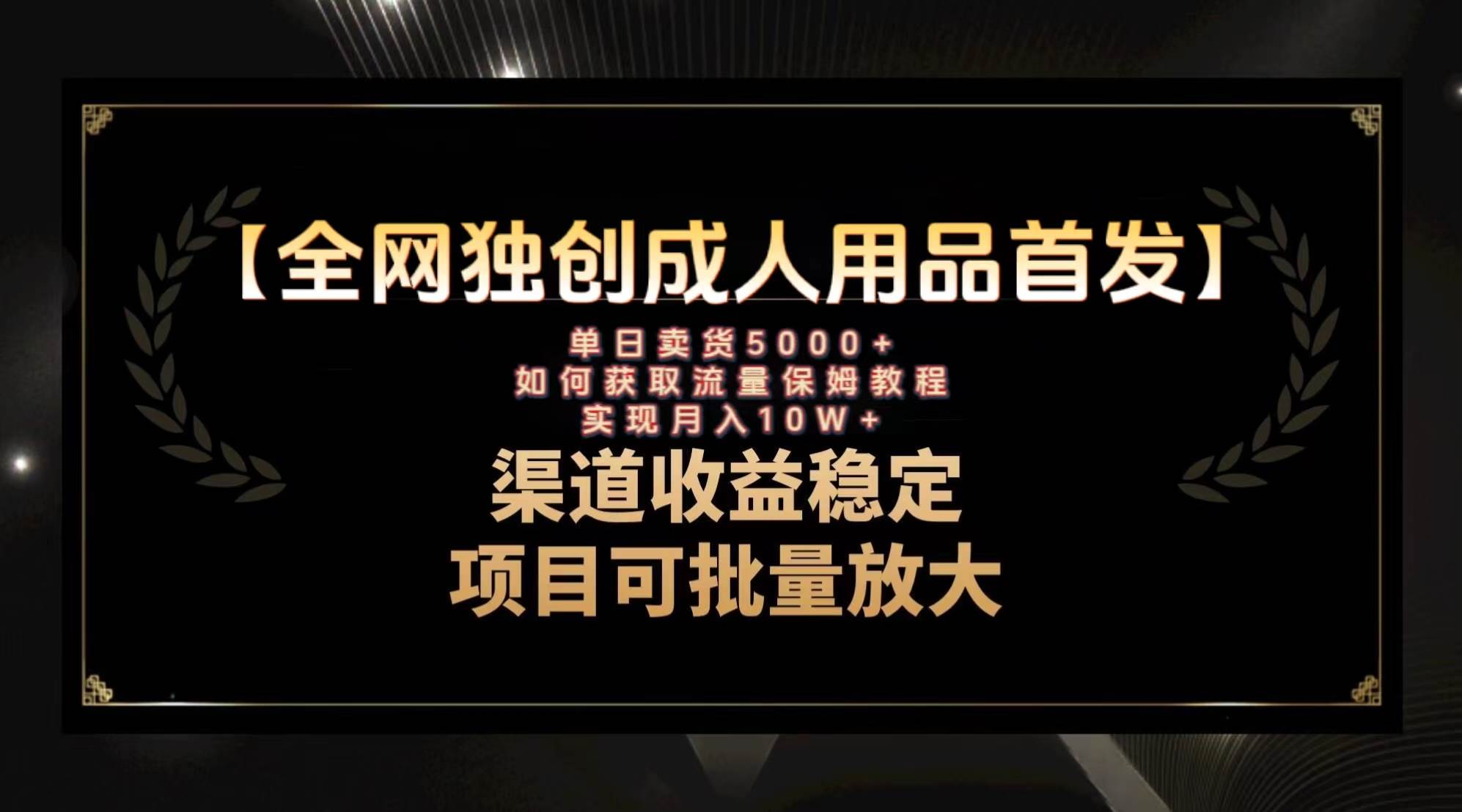 最新全网独创首发，成人用品赛道引流获客，月入10w保姆级教程_金轩项目库