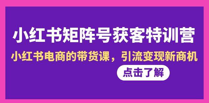 小红书-矩阵号获客特训营-第10期，小红书电商的带货课，引流变现新商机_金轩项目库