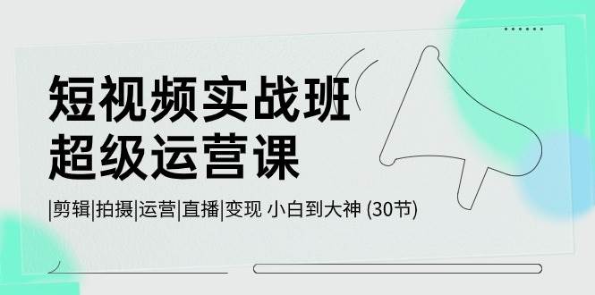短视频实战班-超级运营课，|剪辑|拍摄|运营|直播|变现 小白到大神 (30节)_金轩项目库