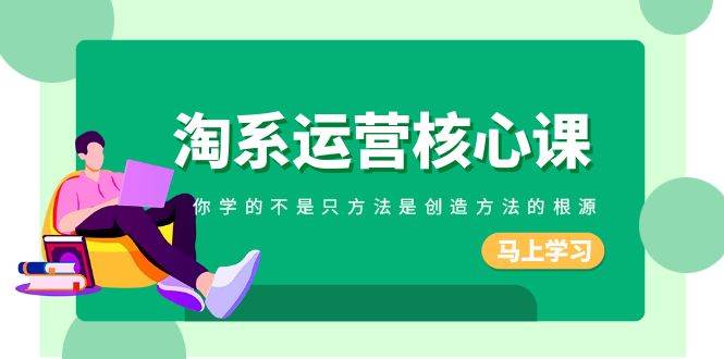 淘系-运营核心课，你学的不是只方法是创造方法的根源（190节课）_金轩项目库