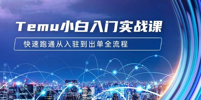 Temu小白入门实战课：跨境拼多多电商培训 快速跑通从入驻到出单全流程-12节_金轩项目库