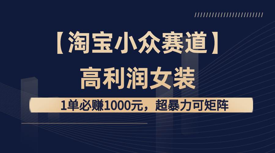 【淘宝小众赛道】高利润女装：1单必赚1000元，超暴力可矩阵_金轩项目库
