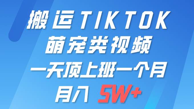 一键搬运TIKTOK萌宠类视频 一部手机即可操作 所有平台均可发布 轻松月入5W+_金轩项目库