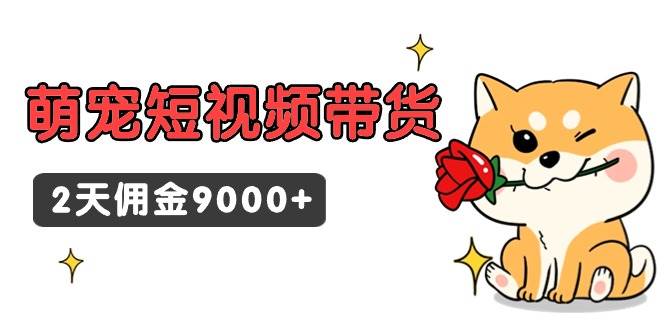 东哲日记·萌宠短视频带货，2天佣金9000+_金轩项目库
