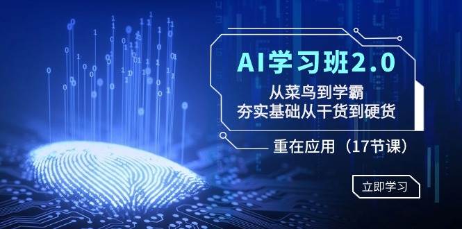 AI学习班2.0：从菜鸟到学霸，夯实基础从干货到硬货，重在应用（17节课）_金轩项目库
