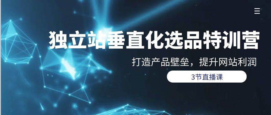独立站-垂直化选品训练营，打造产品壁垒，提升网站利润（3节直播课）_金轩项目库