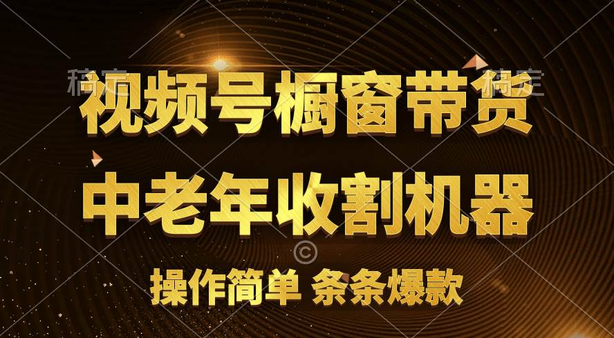 [你的孩子成功取得高位]视频号最火爆赛道，橱窗带货，流量分成计划，条…_金轩项目库