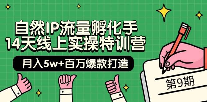 自然IP流量孵化手 14天线上实操特训营【第9期】月入5w+百万爆款打造 (74节)_金轩项目库