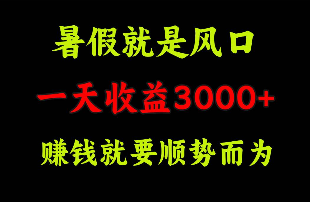 一天收益3000+ 赚钱就是顺势而为，暑假就是风口_金轩项目库