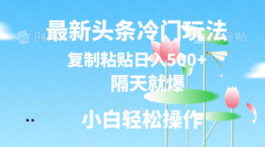 最新头条冷门玩法，隔天就爆，复制粘贴日入500+_金轩项目库