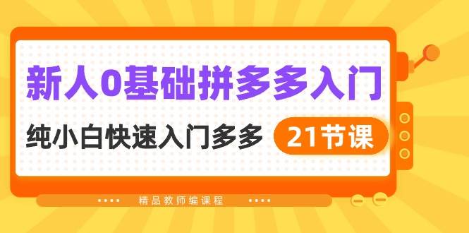 新人0基础拼多多入门，纯小白快速入门多多（21节课）_金轩项目库