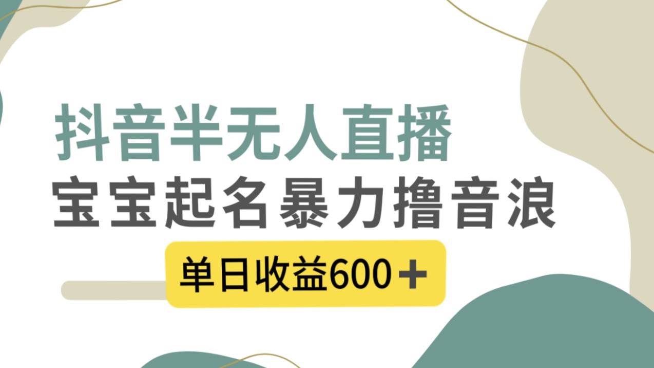 抖音半无人直播，宝宝起名，暴力撸音浪，单日收益600+_金轩项目库