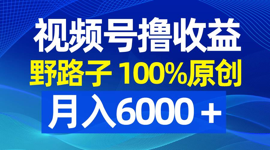 视频号野路子撸收益，100%原创，条条爆款，月入6000＋_金轩项目库